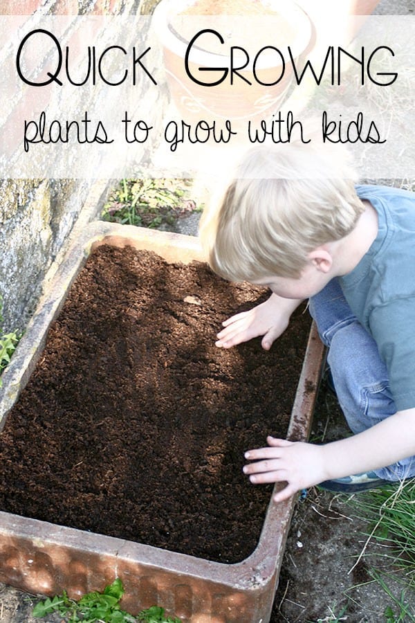 Quick growing plants to grow with kids