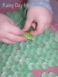 Water beads used for learning about frog life cycle