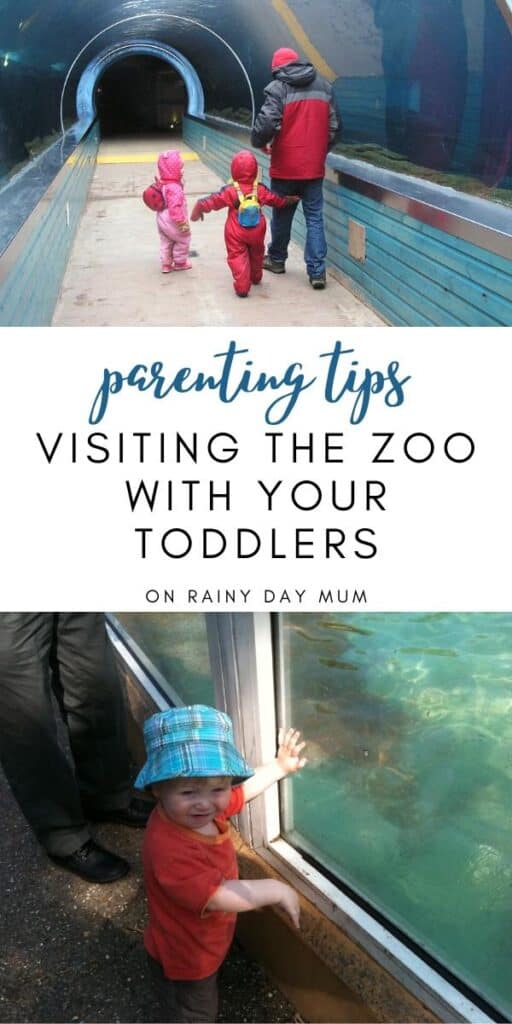 parenting tips visiting the zoo with your toddlers