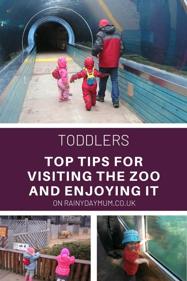Top Tips for Visiting the Zoo with Your Toddler and