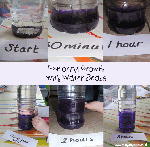 exploring growth with water beads