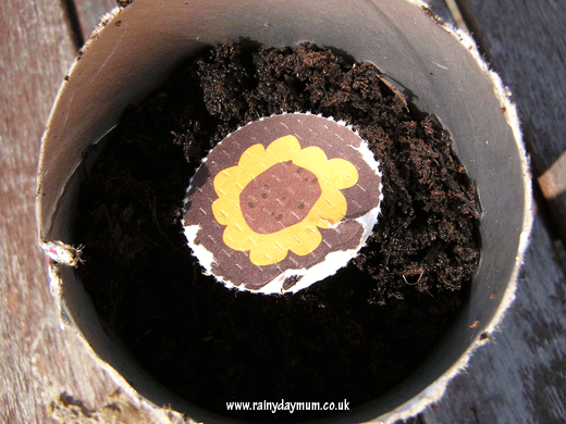 Innocent Kids sunflower seeds planted easy for toddlers to plant