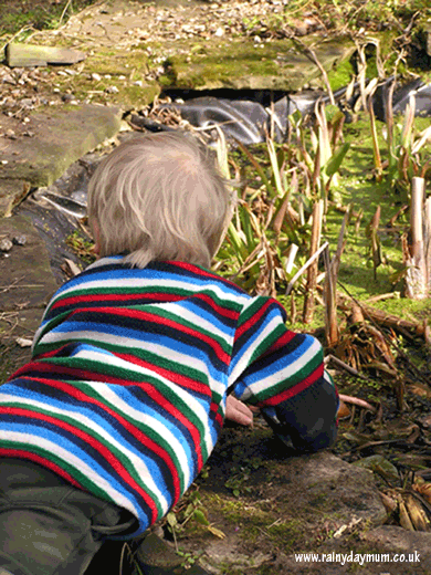Toddler looking for frogs