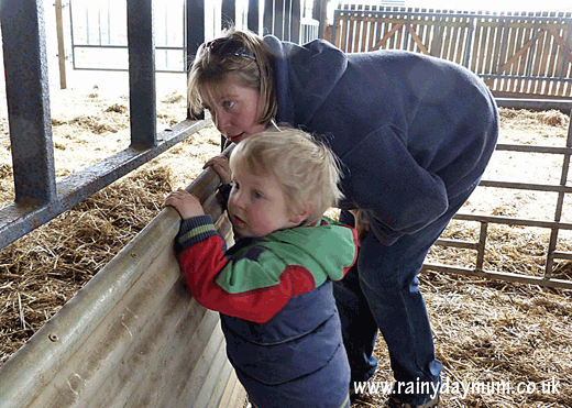 Toddler on the farm