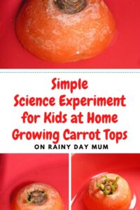 ssimcience experiment for kids at home