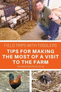 field trips with toddlers top tips for visiting the farm