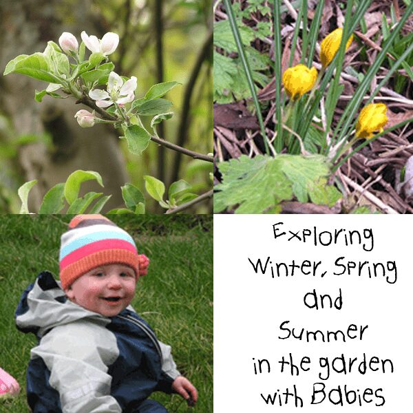 Exploring the garden with babies throughout the seasons