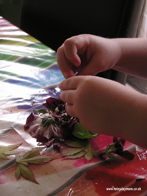creating with real flowers