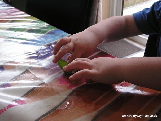 Using contact paper to create natural collages