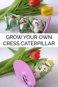 Simple craft for toddlers that will then grow to create a caterpillar ideal for spring, bugs or growing themed fun. It's so simple even toddlers can make it and watch the seeds grow