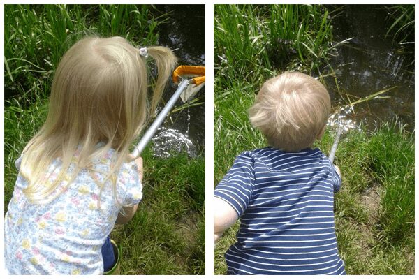 kids collecting frog eggs with nets from a pond