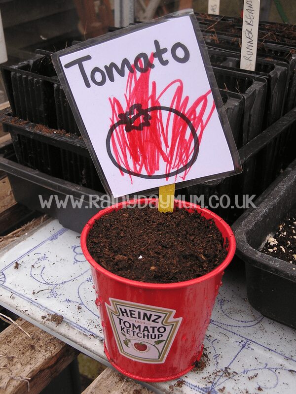 Grow your own Ketchup with kids - get toddlers growing with some inspiration for grow your own Heinz Ketchup