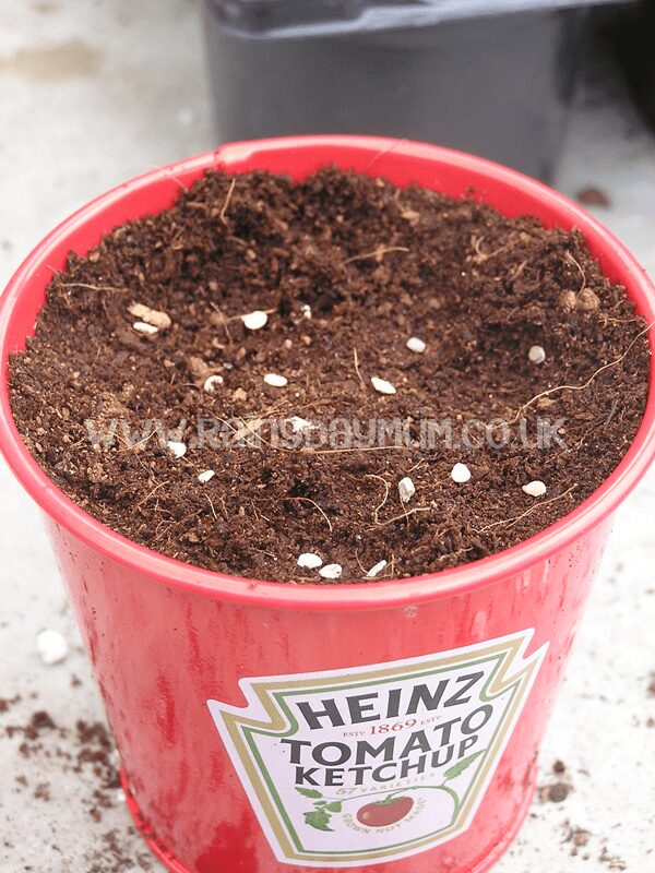Grow your own Tomatoes with Heinz Ketchup - great fun for you and your toddler to do together
