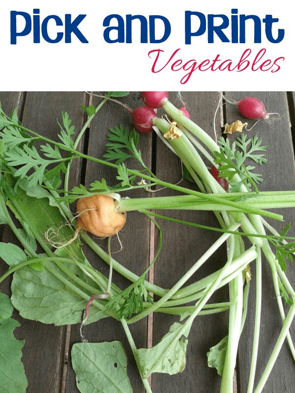 Pick and Print vegetables bring Oliver's Vegetable by Vivian French Alive for Kids through the Virtual Book Club for Kids Summer Camp