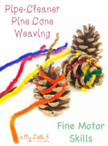 Nature inspired craft – Pine Cone Weaving
