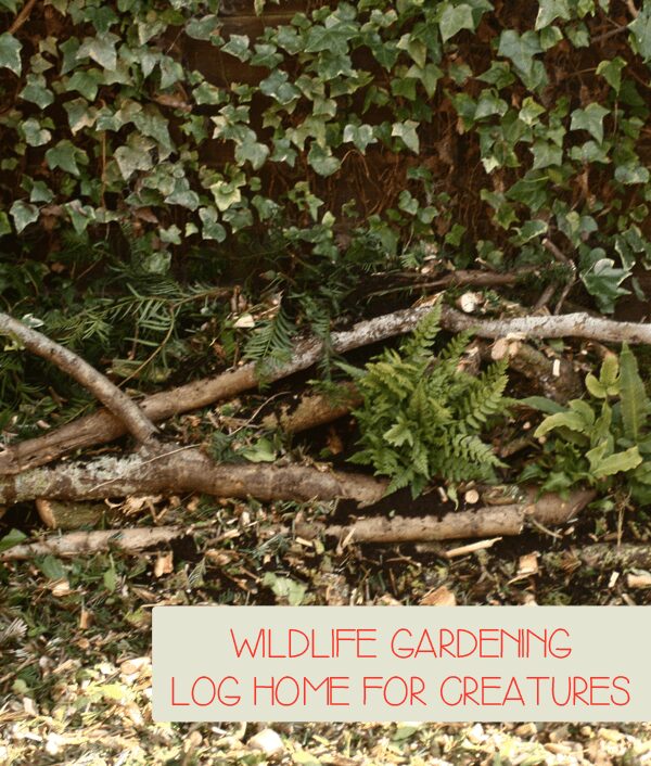 wildlife gardening with kids - creating a log home