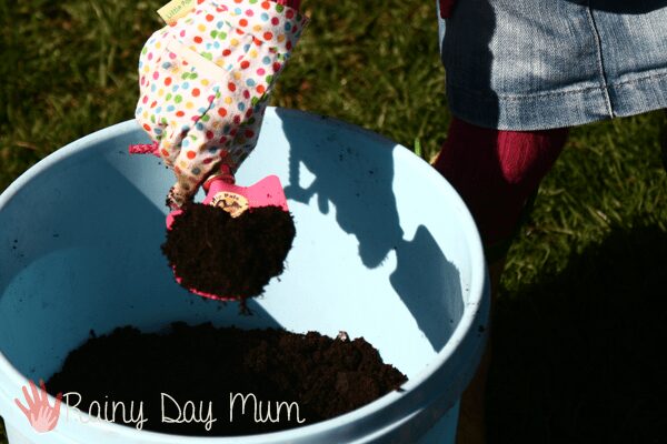 preschooler holding a trowel of seed compost from a bucket about to fill up seed trays to grow some seeds for spring.
