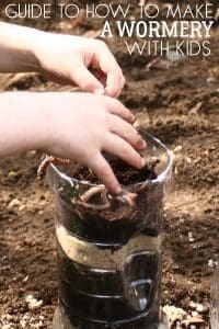 Guide to making a wormery for the KS 2 Classroom out of a plastic bottle