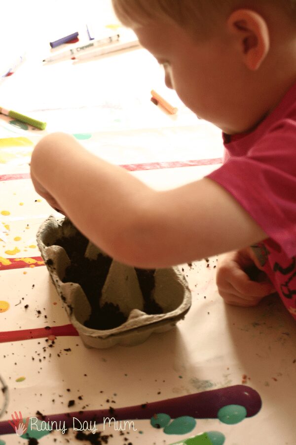 child filling egg cartons up with soil