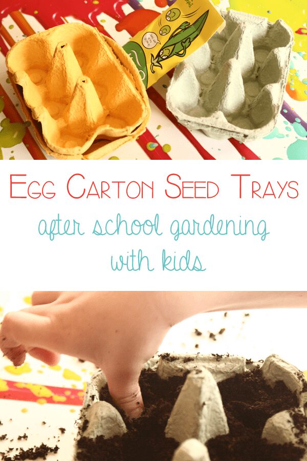 After School gardening for kids - egg carton seed trays