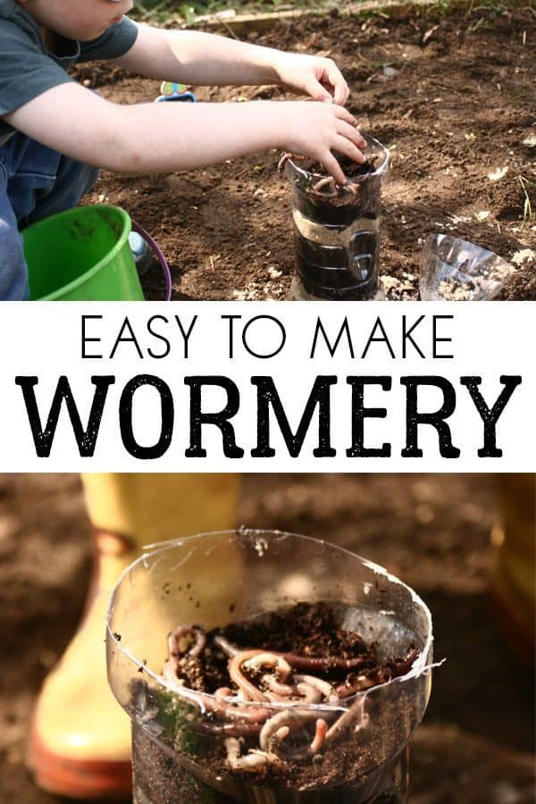A simple how to make wormery from a plastic drinks bottle to help children understand what worms do. Ideal for home or classroom to explore habitats.