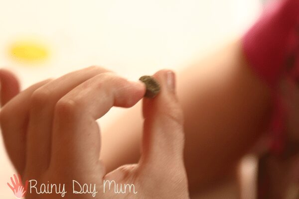 child holding a pea seed ready to plant