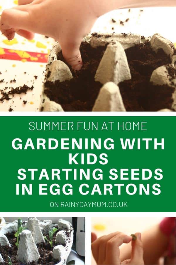 gardening with kids starting seeds in egg cartons