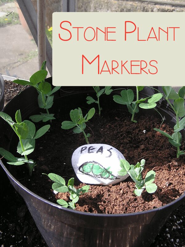 Stone Plant Markers to make with kids