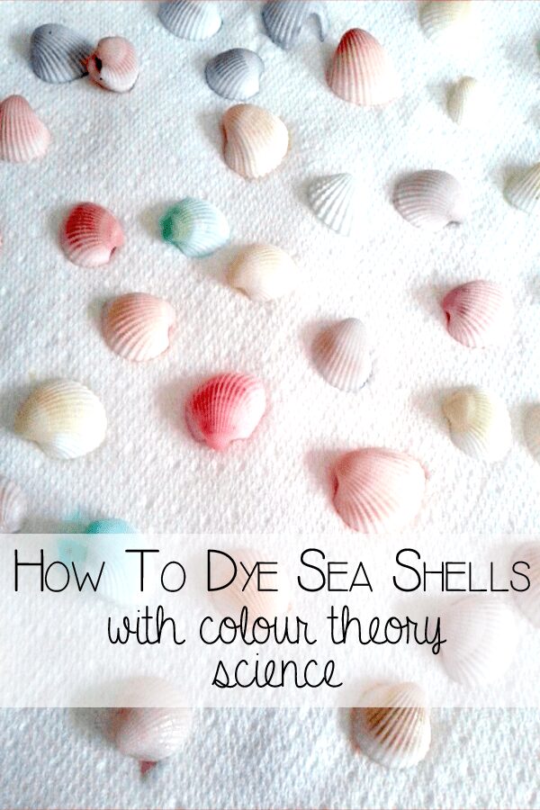 How to dye sea shells with colour theory