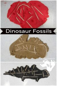 Model Clay Fossils