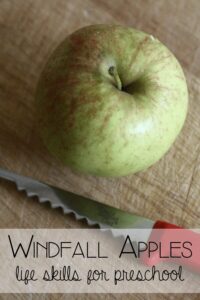 Windfall Apples Practical Life Skills