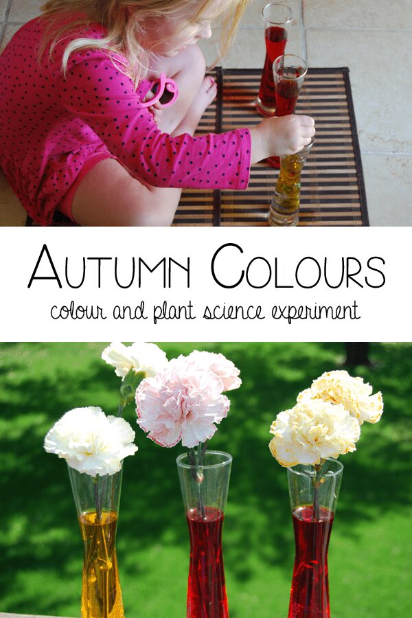 Autumn Colours - colour and plant science hands on learning for preschoolers
