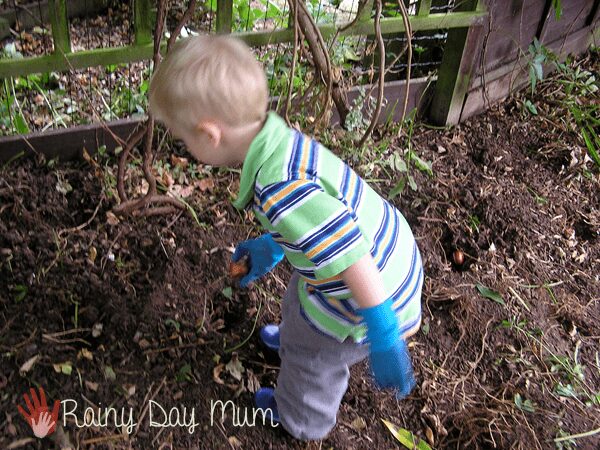 a toddler planting some spring bulbs in autumn so that throughout the coming months he can see them grow and bloom simple autumn nature study for kids