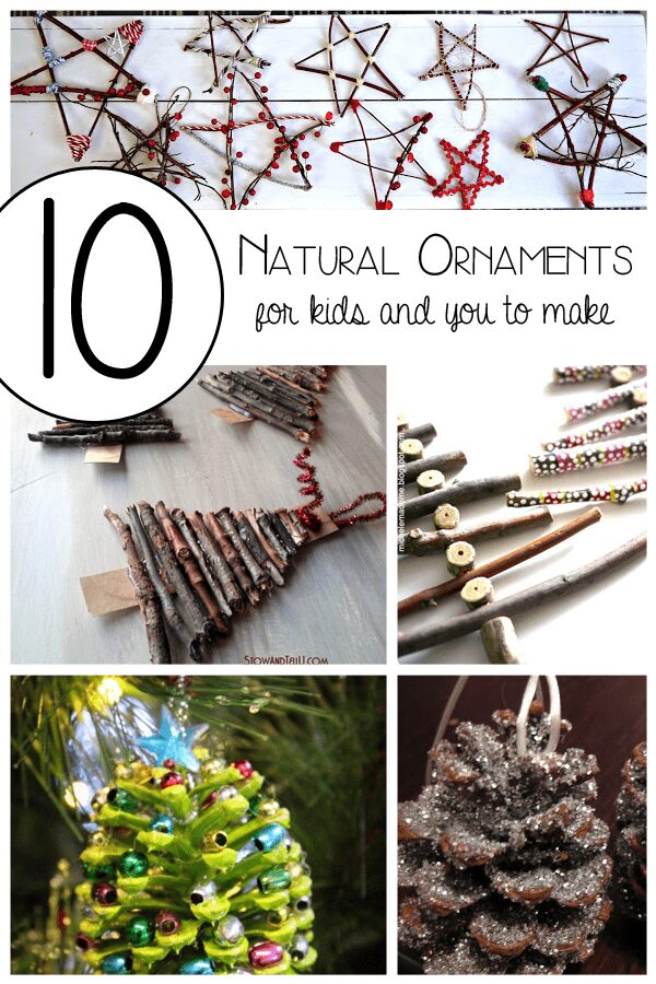 10 Natural Ornaments for the Kids and you to make