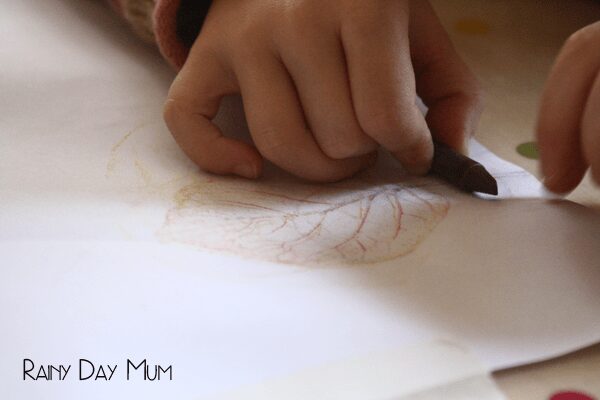 a preschooler making a rubbing of a leaf in their nature journal in autumn