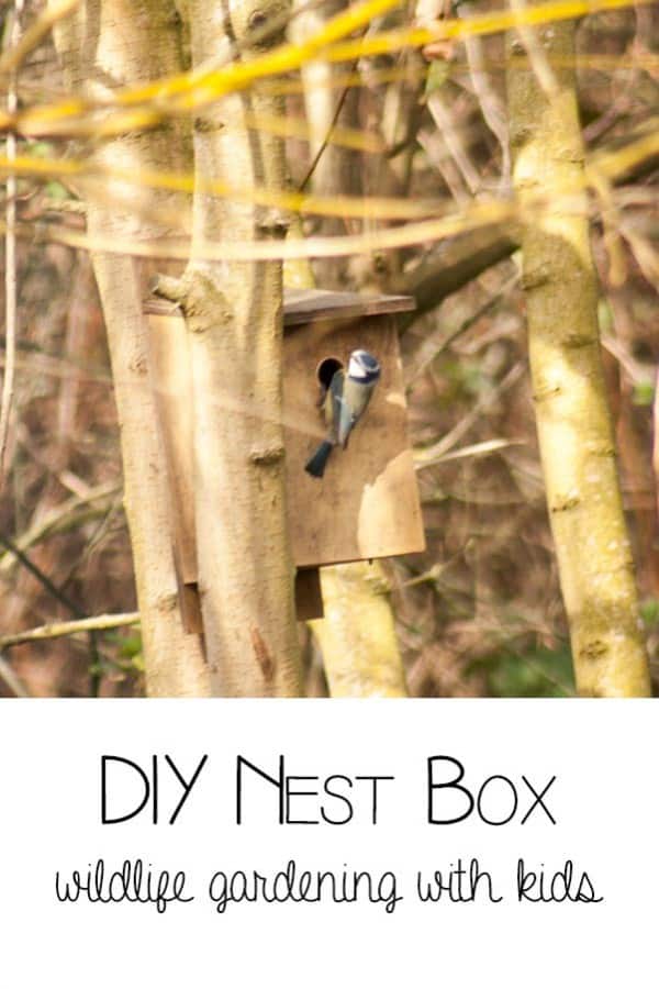 DIY Nest Box - wildlife gardening with kids