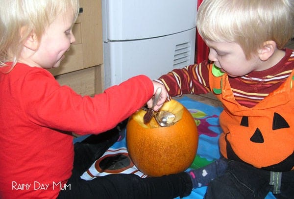 Grow your own pumpkins from seed - spring activity to do with the kids
