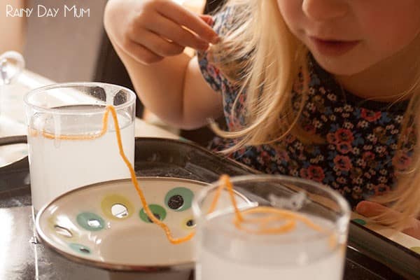 Growing Borax Free Crystals with kids
