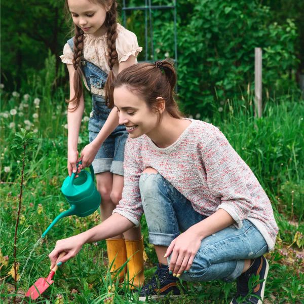 Quick growing seeds and plants ideal for gardening with kids. These fast growing plants are perfect for at home or in the classroom.