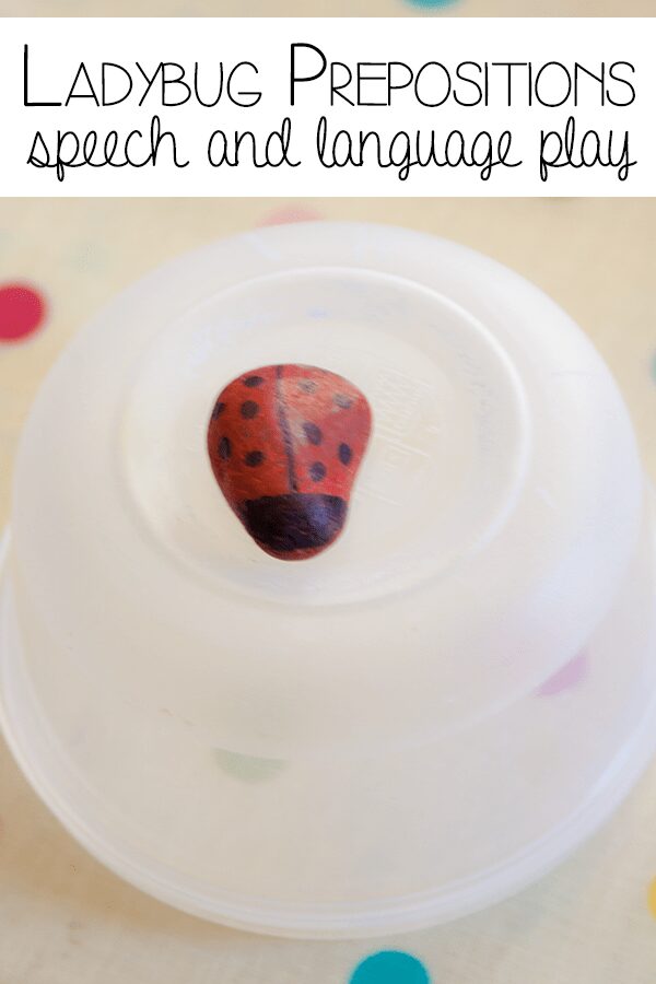 Ladybug Prepositions - speech and language play for young children