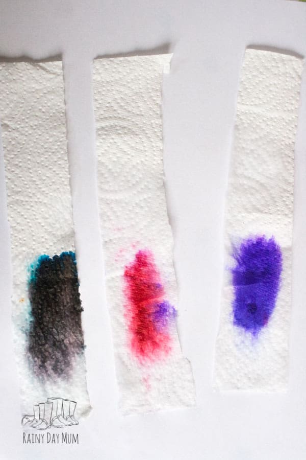 Simple experiment to look at chromatography and discover what colour is black ink
