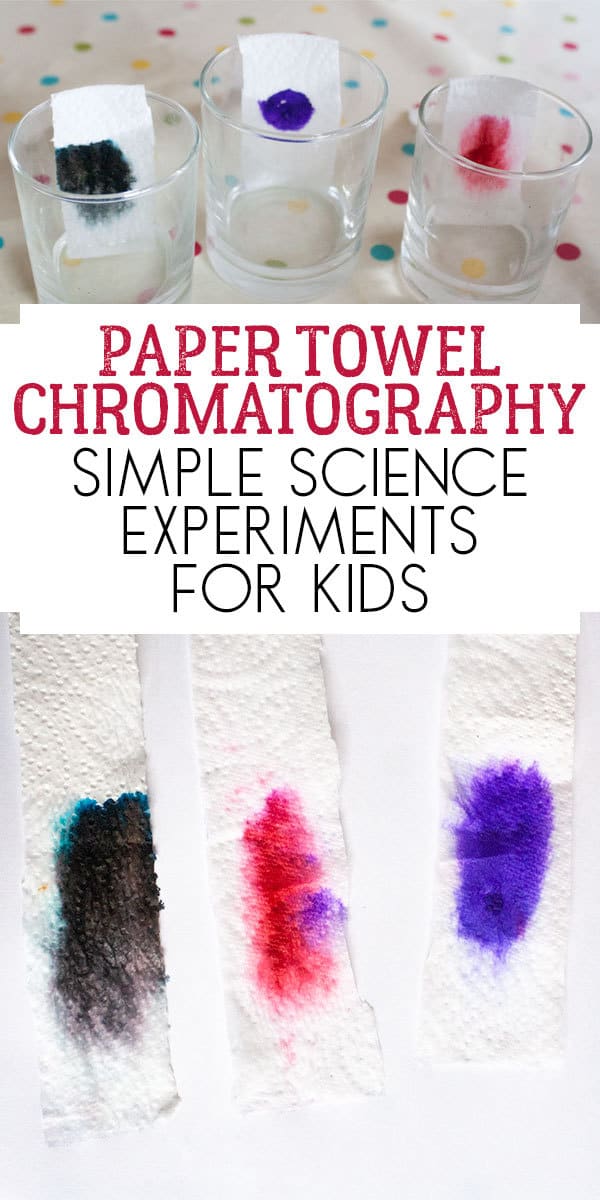 Simple Paper Towel Chromatography Experiment to do with kids to explore what colours make up black ink.