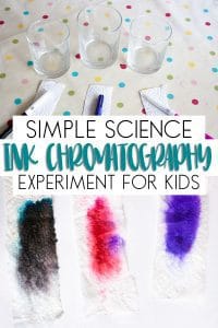 Simple Paper Towel Chromatography Experiment for Kids