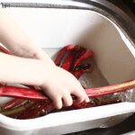3 year old washing rhubarb stalks in the kitchen sink picked from the garden