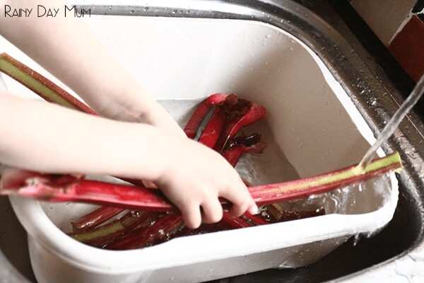 Rhubarb Crumble Recipe - cooking with kids seasonal food