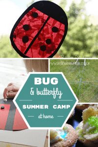 FREE Bugs and Butterflies Summer Camp for Toddlers and Preschoolers to do at Home
