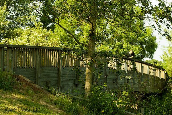 Play the classic outdoor game Pooh Sticks with your family this summer, bring alive the classic storybook House at Pooh Corner and the famous game that WInnie the Pooh Invents