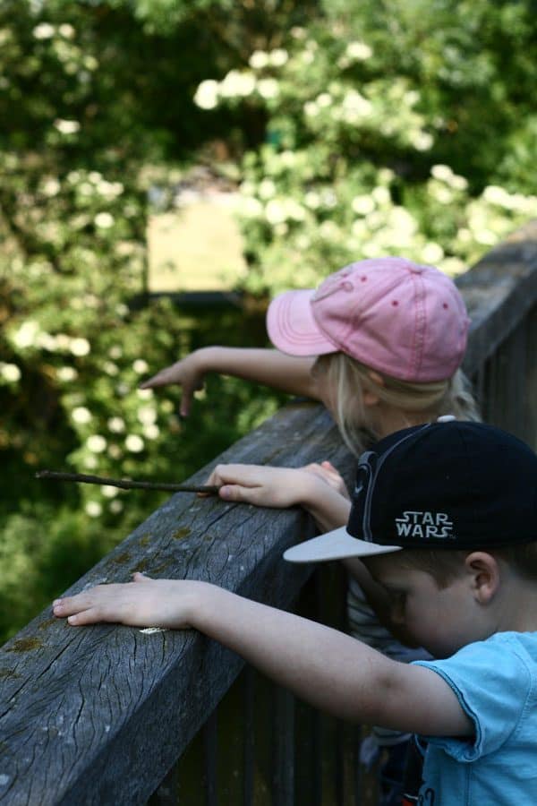 two kids playing pooh sticks over a bridge in spring