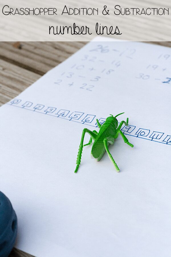 Addition & subtraction bug fun for elementary kids, working on adding and subtracting double digit numbers