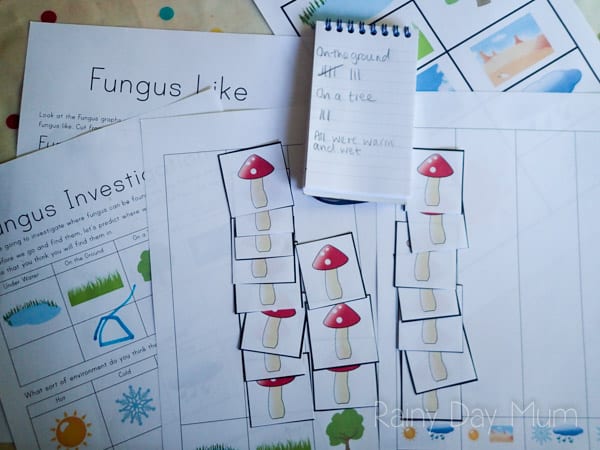 Fall STEM activity for early years - Investigating Fungus and where they can be found including FREE Printable to support the activity